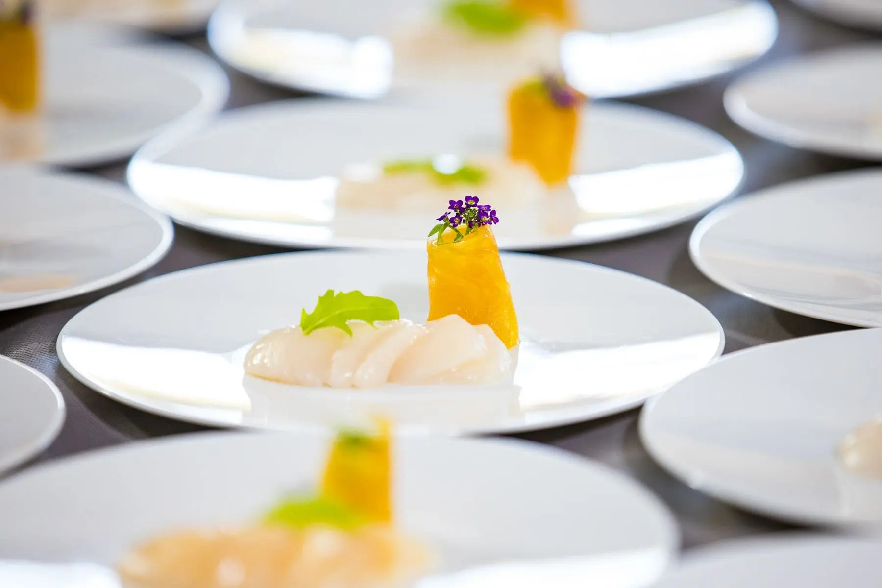 Alignement d'assiettes de Saint-Jacques et d'un cylindre d'agrume avec fleurs comestibles violettes, illustrant la finesse d'un traiteur partenaire de l'Agence Helper à La Baule.